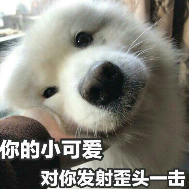 一根脆脆香香的小油条