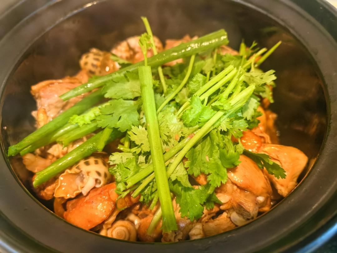 家常菜 花螺海鲜鸡煲 鸡肉嫩滑 花螺Q弹爽口