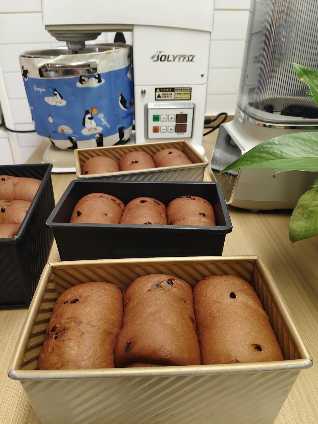 巧克力吐司（可可吐司）