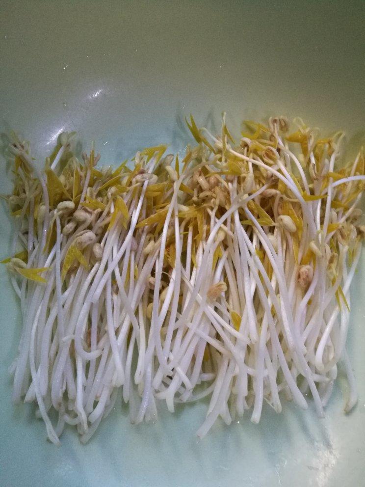 自制豆芽