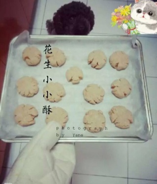 花生酱小小酥——好吃到迎风飘泪的饼干