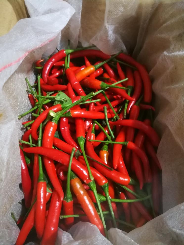 消耗辣椒的教程集锦小米辣的保存和食用方法泡椒凤爪等