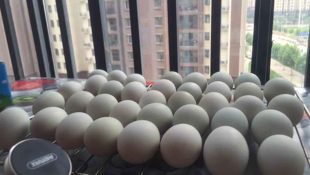 自制咸鸭蛋（最简单的方法）