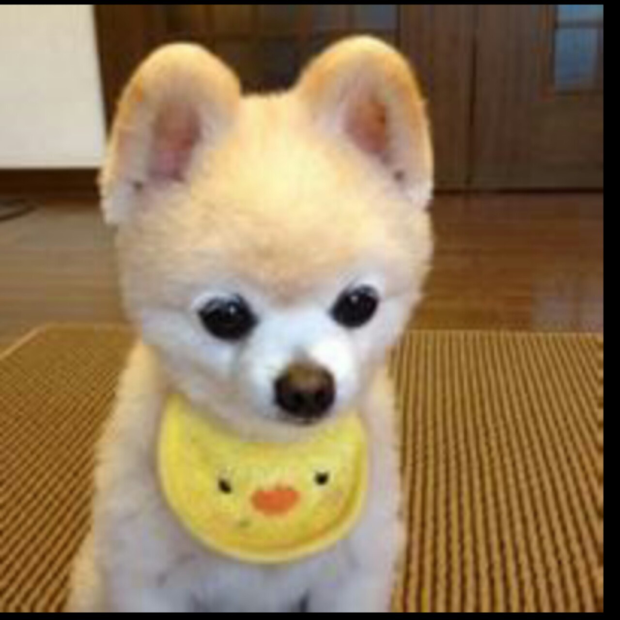 哈喇子流下三千尺