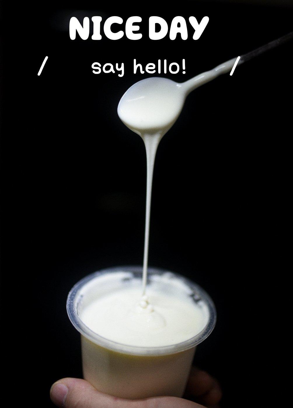 🥛0失败-浓郁顺滑-可拉丝酸奶（牛奶版，奶酪版，奶粉版）