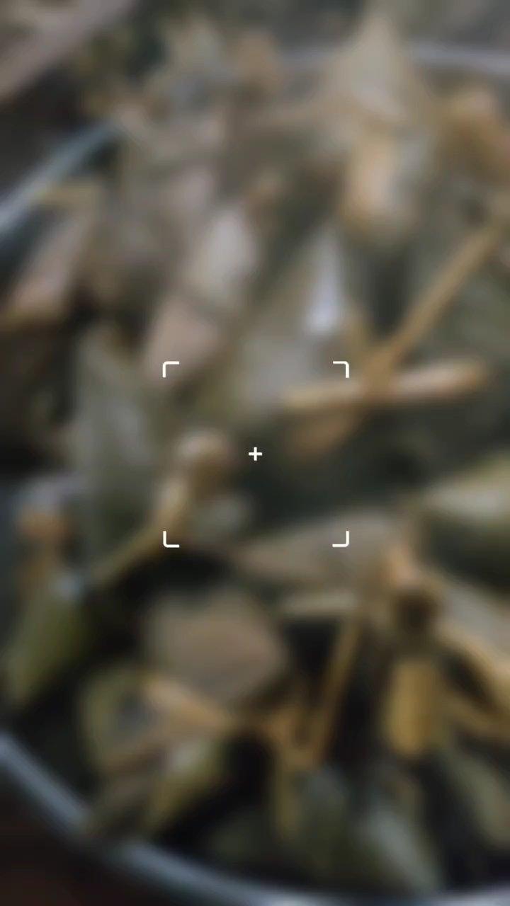 广西粑粑之端午节粽子（羊角扭）