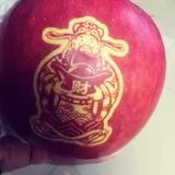 大连逗哥