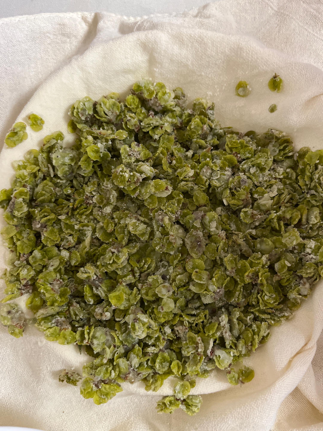 蒸榆钱（独家秘方，保证蒸出来不粘成一坨）
