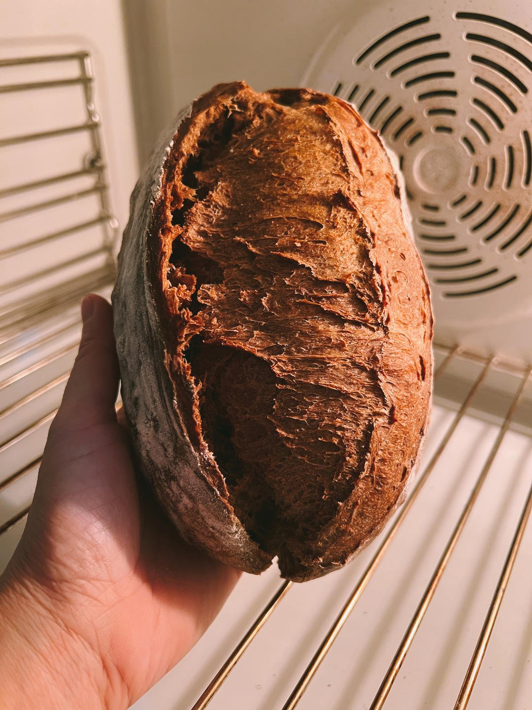 超快手·伪短法棍丨蜂蜜黑巧法式软欧包