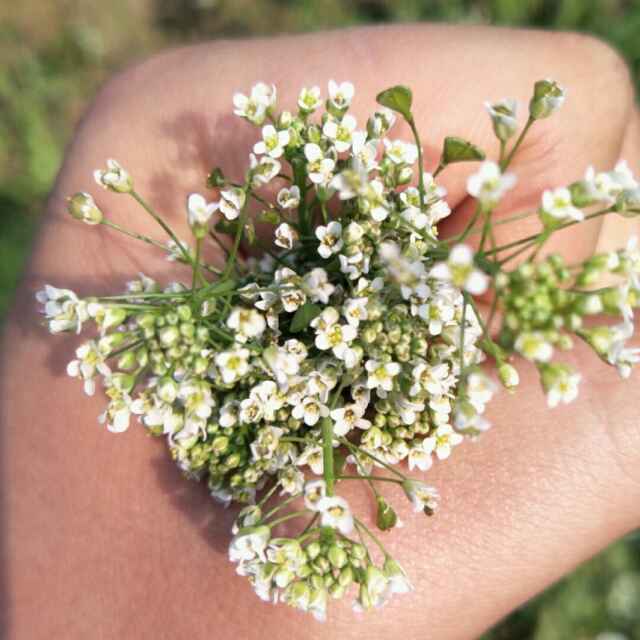 人生路途总迷茫