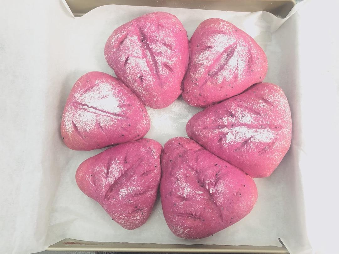 火龙果麻薯欧包