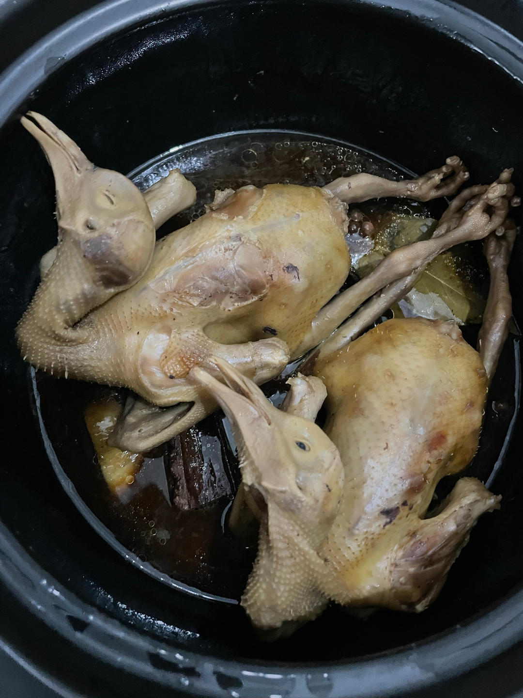 卤水乳鸽