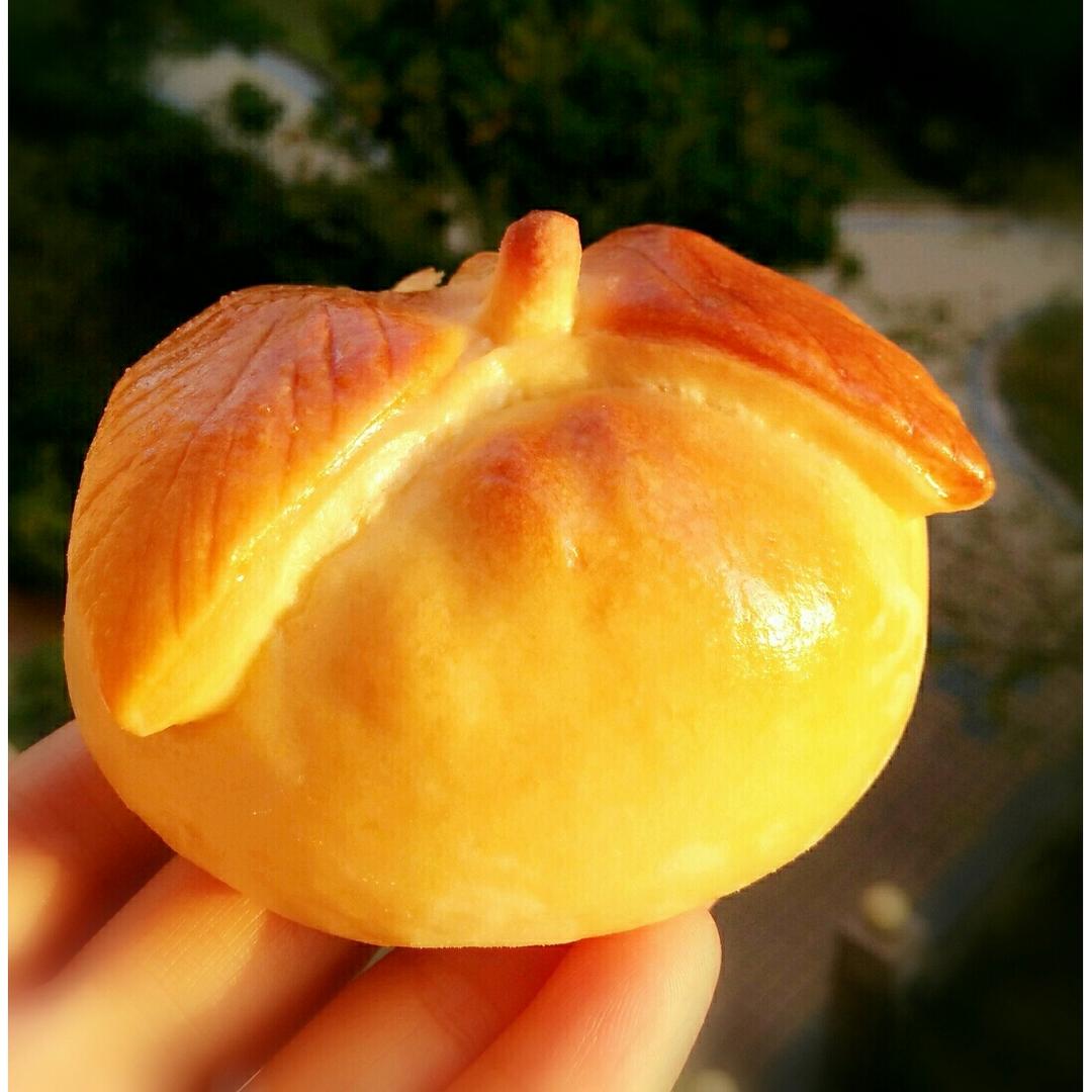 生活中的食物