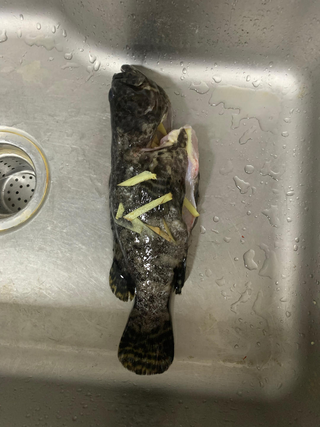 餐厅级别的清蒸石斑鱼