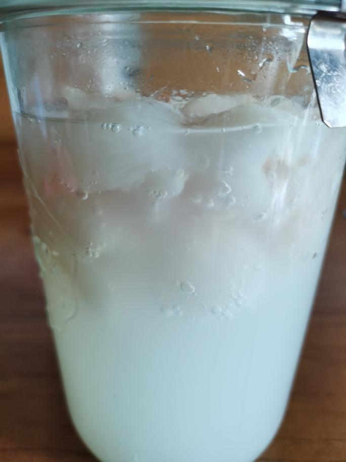 天然酵种其实没那么难～荔枝液种