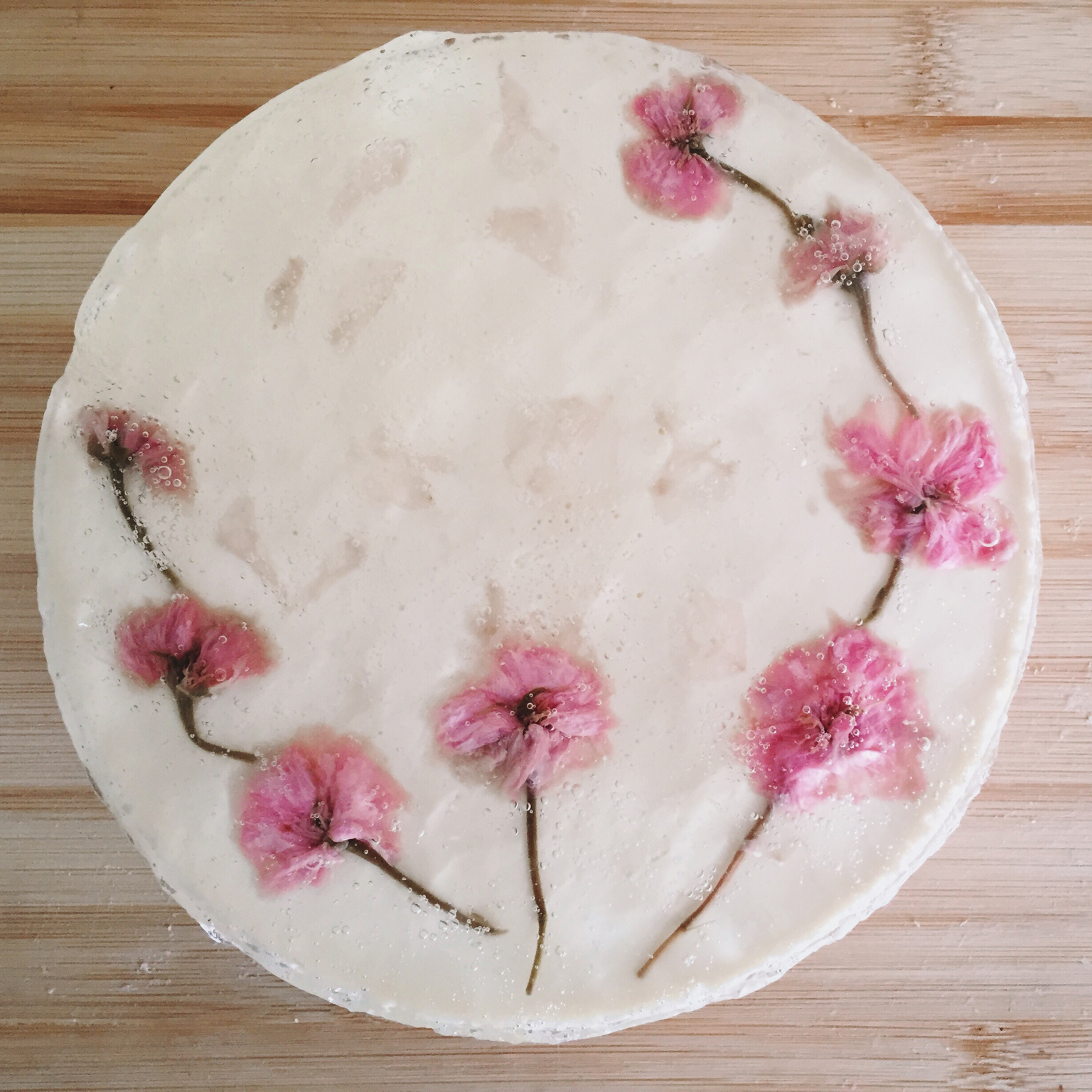 樱花冻酸奶芝士蛋糕​（6寸）