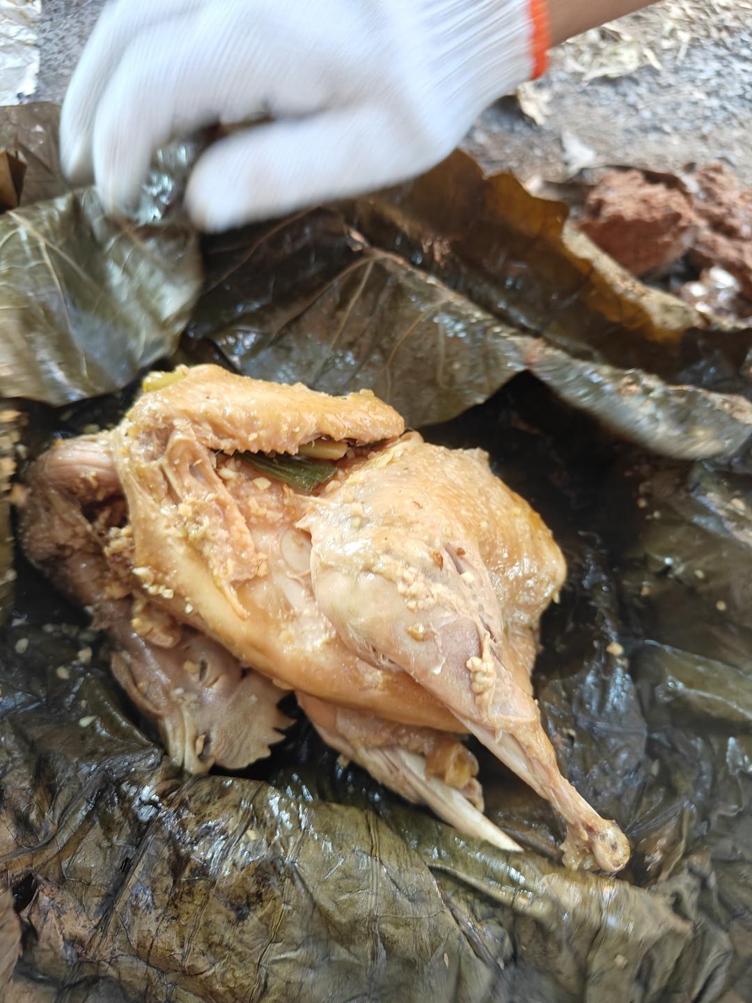 沙姜荷叶叫花鸡