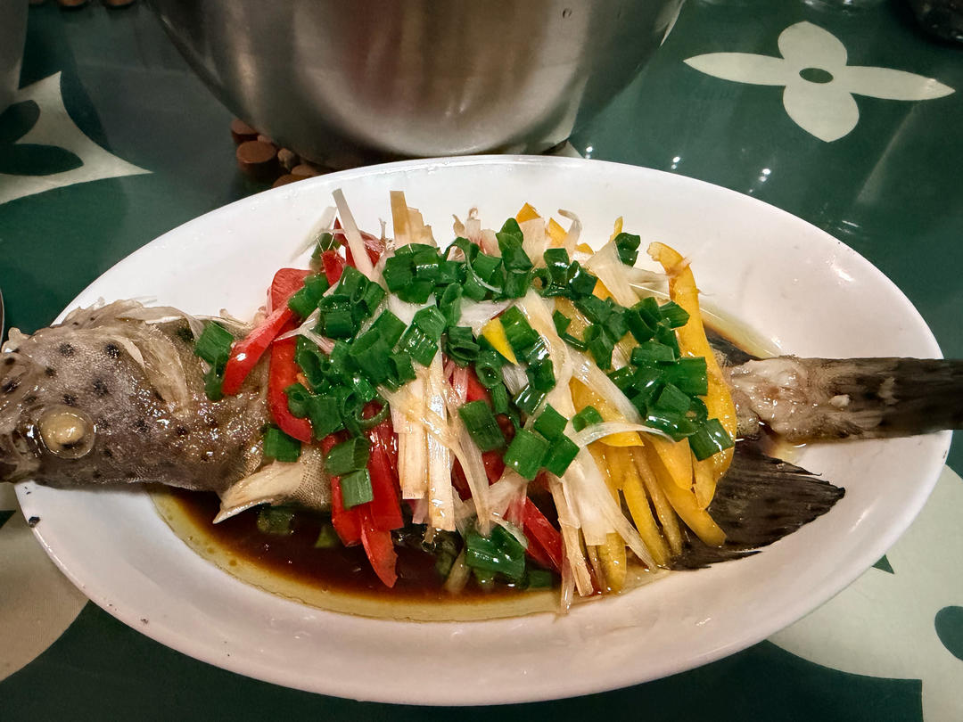 金猫咪食堂-清蒸老鼠斑
