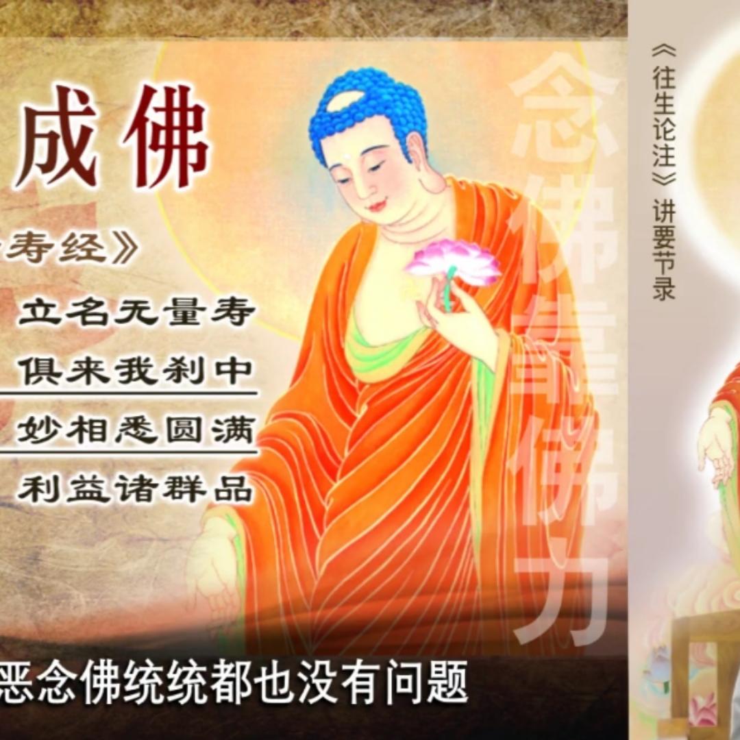 德芙cfr