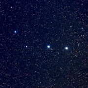 天予不取堪须折