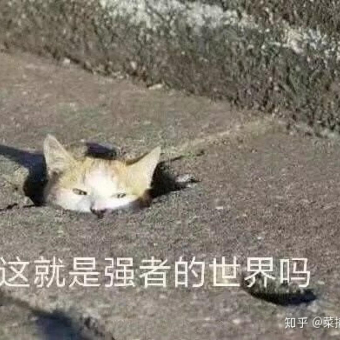软软软软糖