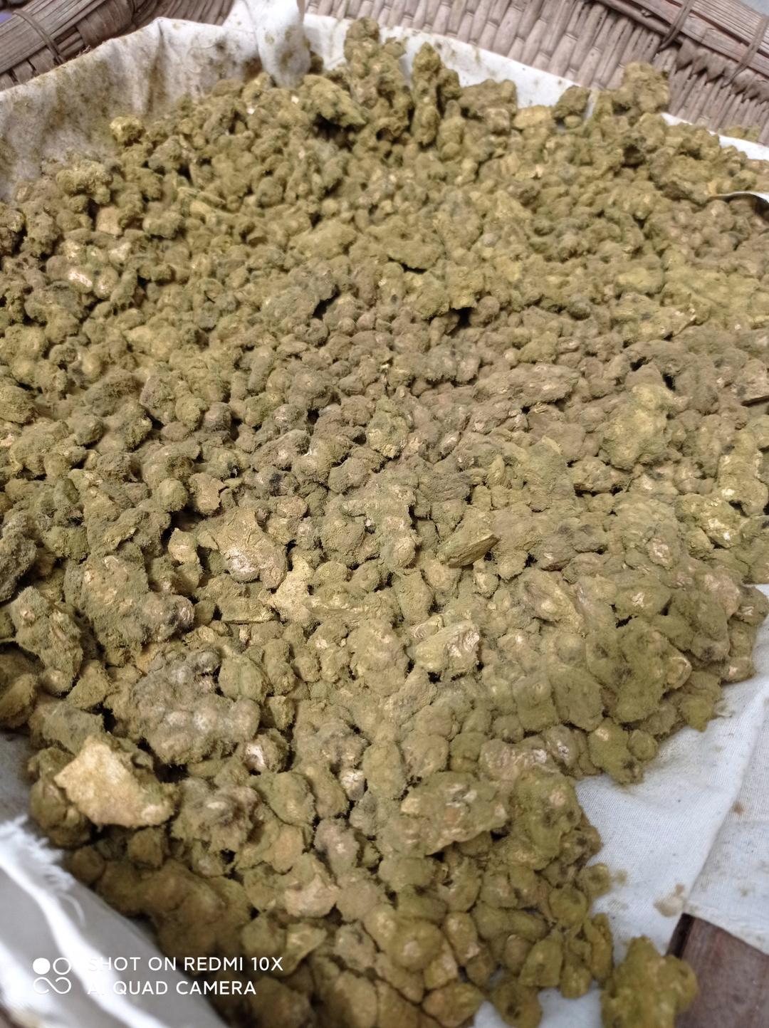 零失败捂酱豆