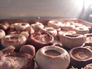 烤蘑菇✨无油健康又鲜脆の烤箱菜的做法 步骤3