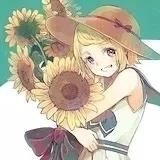 番茄花67