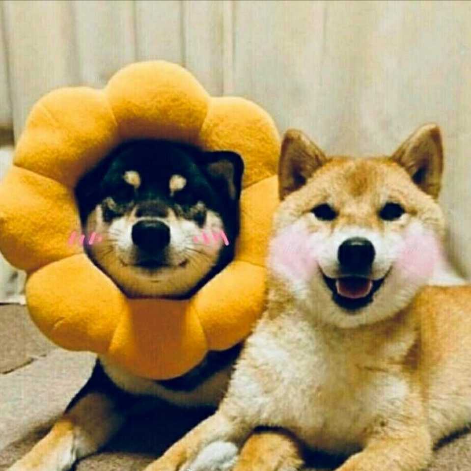 手机用户7982_j3yt