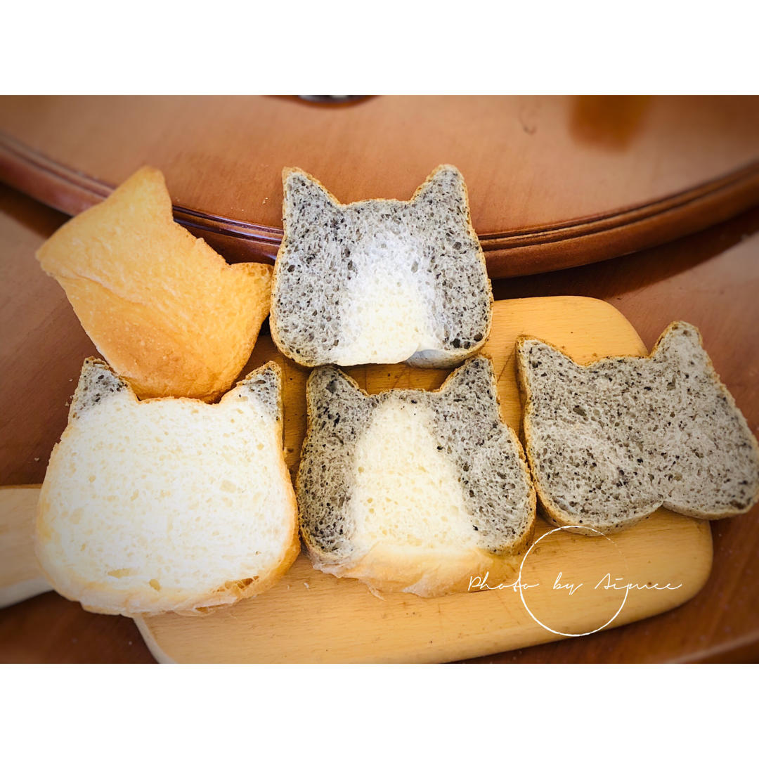 猫咪吐司（两款模具吐司教程）