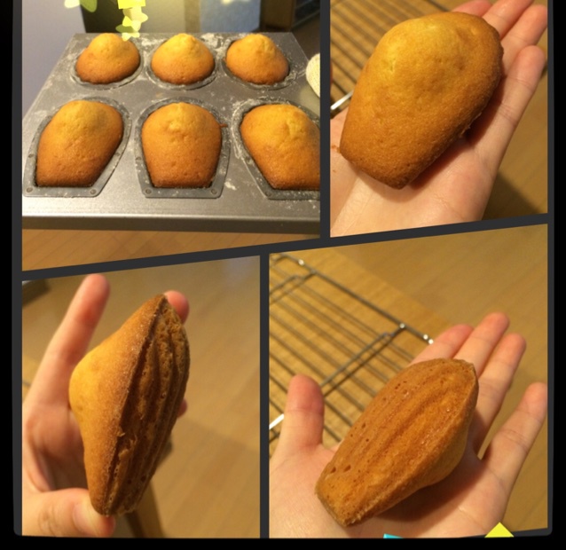 玛德琳蛋糕