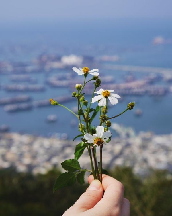 晚餐•2021年2月18日