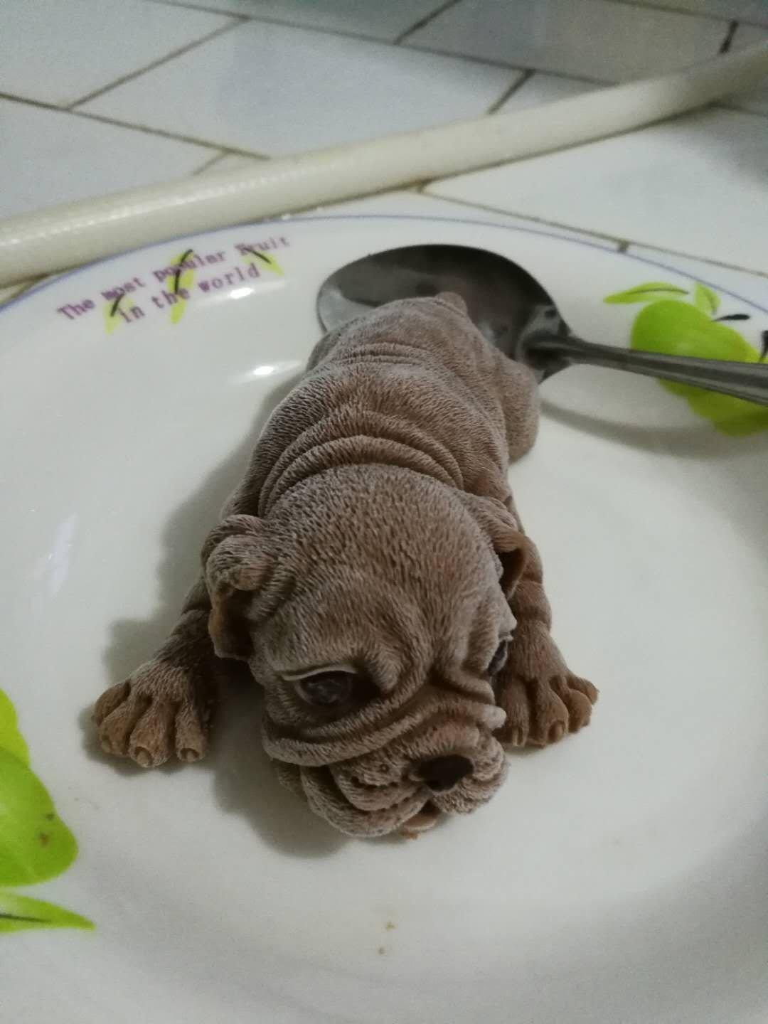 网红沙皮狗慕斯蛋糕
