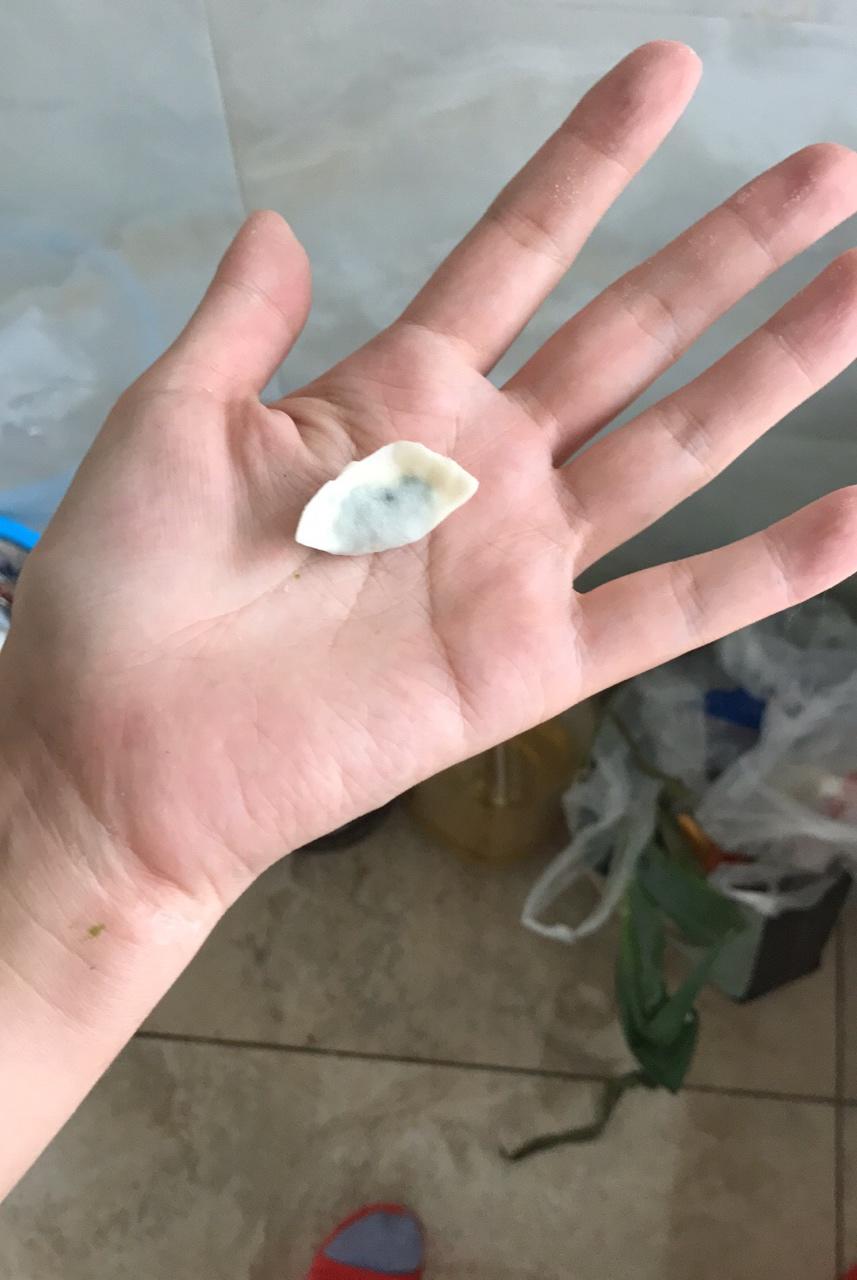宝宝辅食迷你水饺