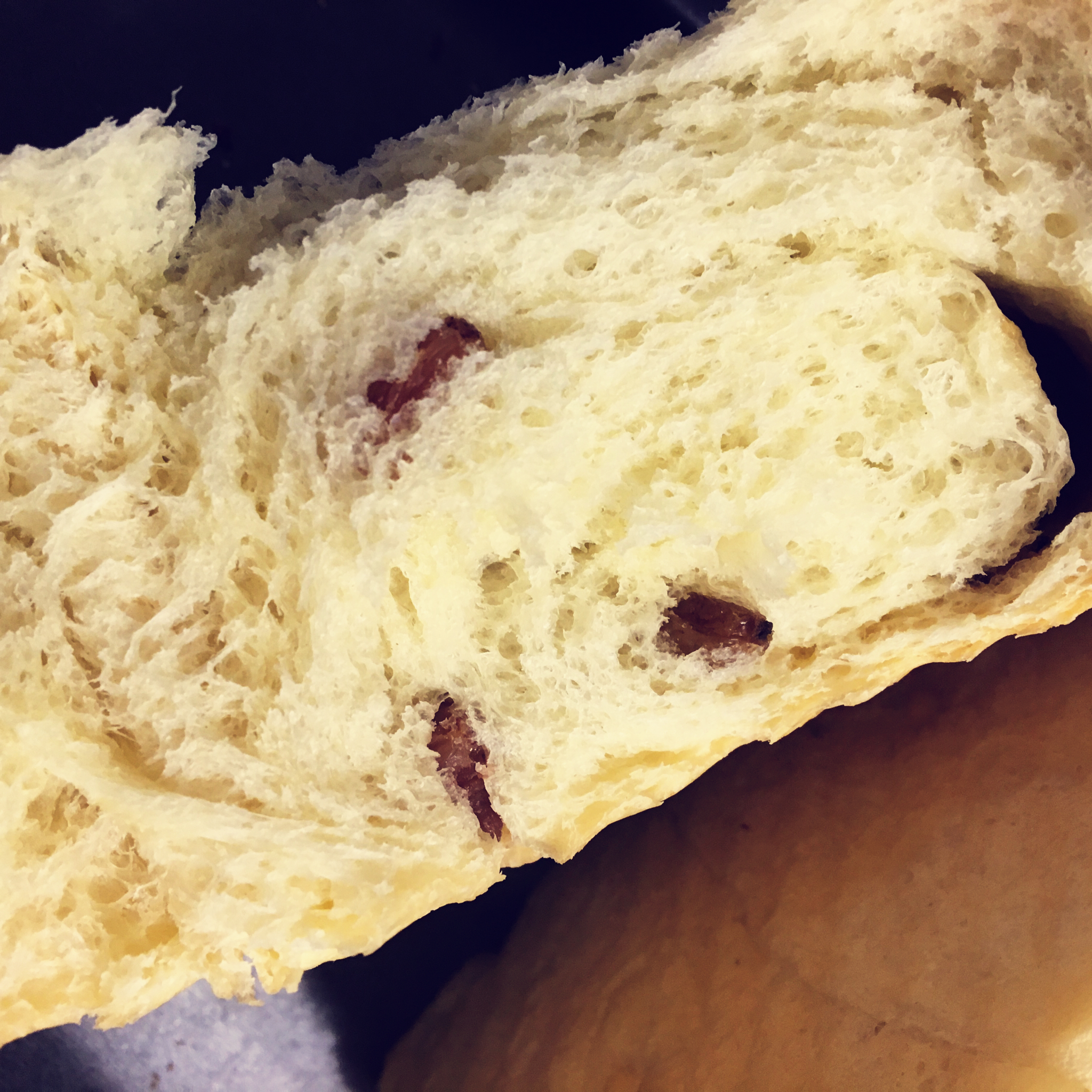 面包机版 葡萄干吐司