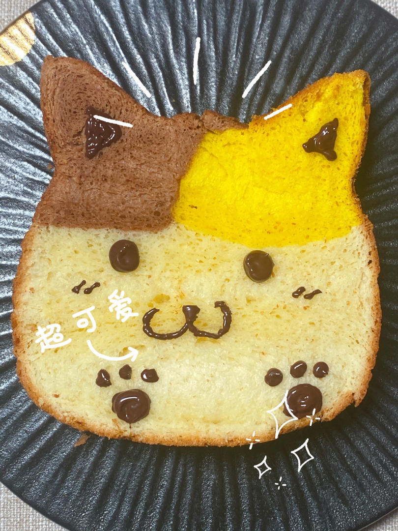 《Tinrry+》最近超火的巧克力猫咪吐司