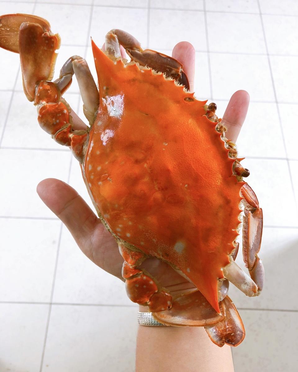 清蒸螃蟹（梭子蟹）