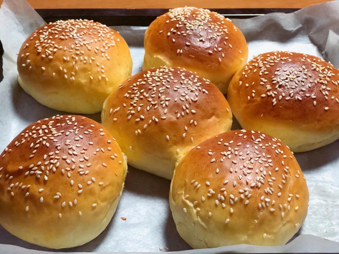 汉堡胚 poolish（波兰种）