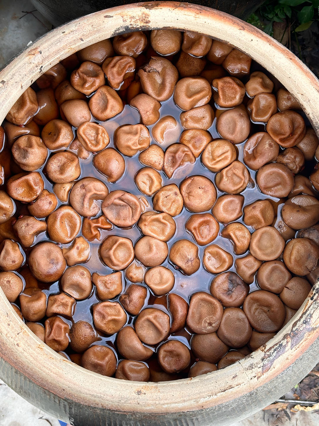 正宗的广西咸柠檬是怎么腌制的