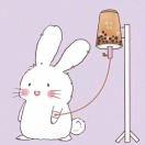 仙女兔子姐姐