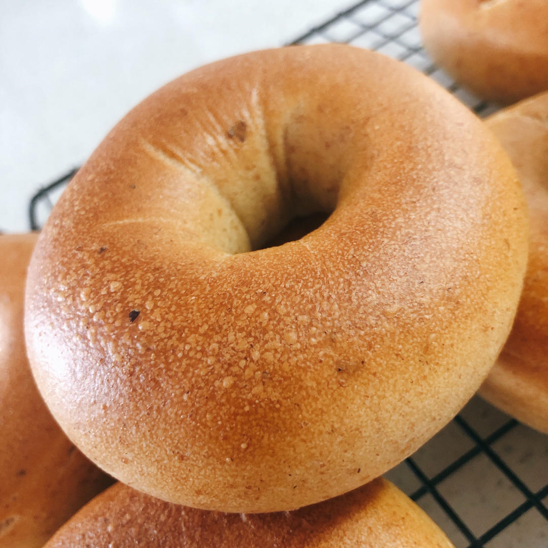 100%天然酵母贝果 - sourdough bagels