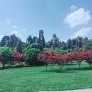 新手开始学做饭