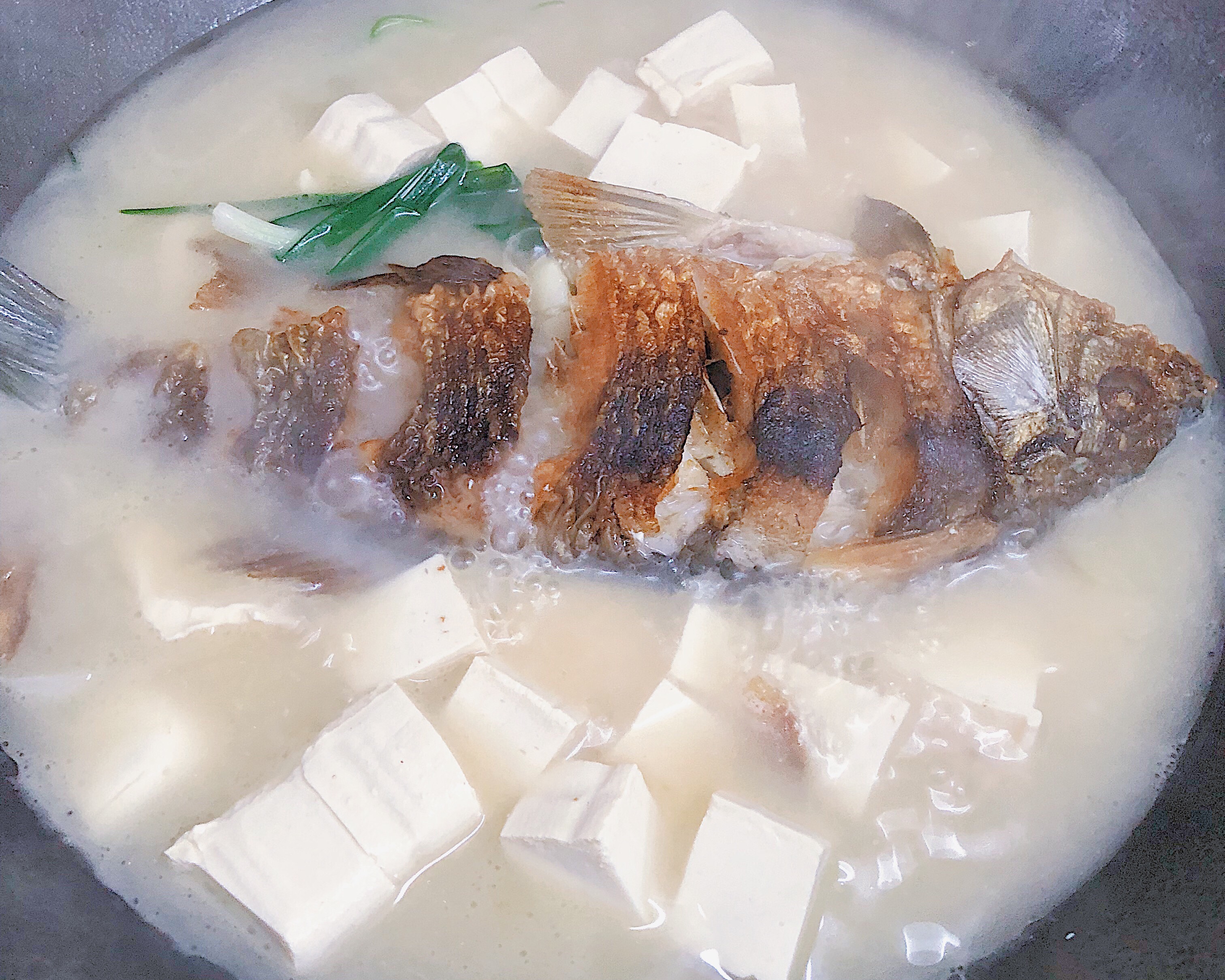 奶白奶白的鲫鱼豆腐汤—减脂必备 下奶神器 清香可口的做法