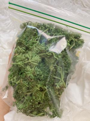 万用香草香料保存大法！仅需微波炉～百里香迷迭香罗勒欧芹均适用～的做法 步骤12