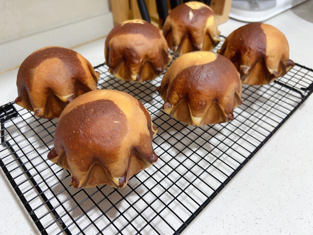 生椰拿铁小星星包