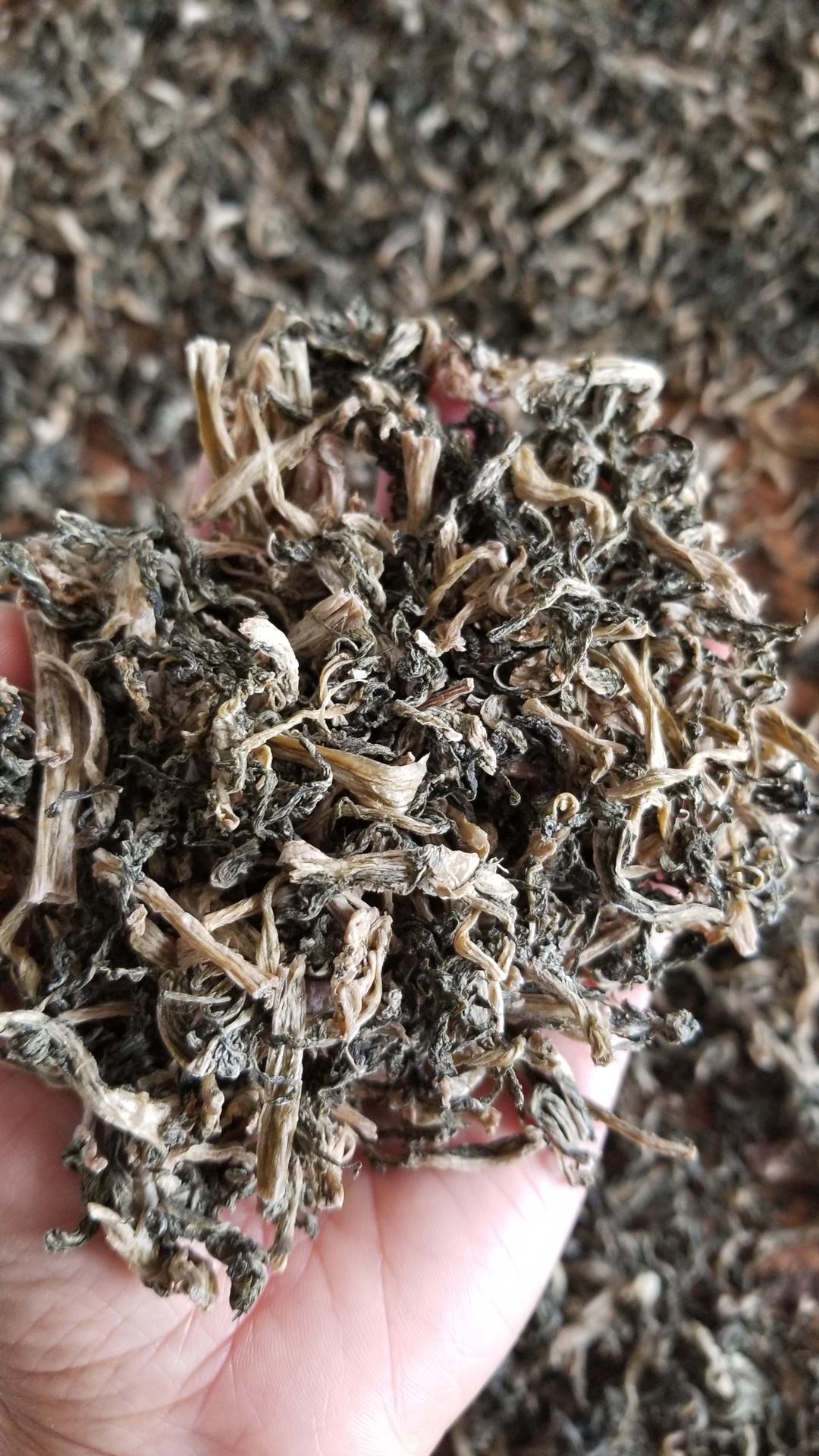 自制梅干菜