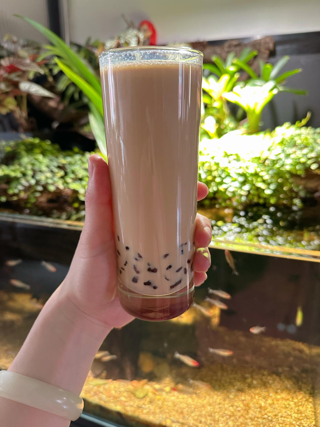 🥤自制娃儿能喝的健康珍珠奶茶（含高成功率珍珠做法）