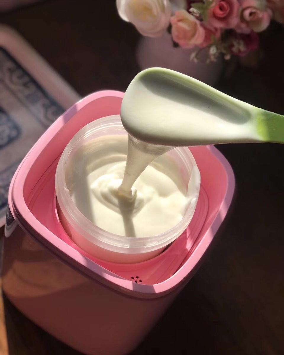 自制酸奶