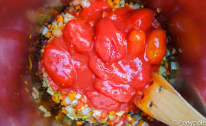 冬蔬汤（Alton Brown做过的最好吃的东西BTIEM）的做法 步骤3