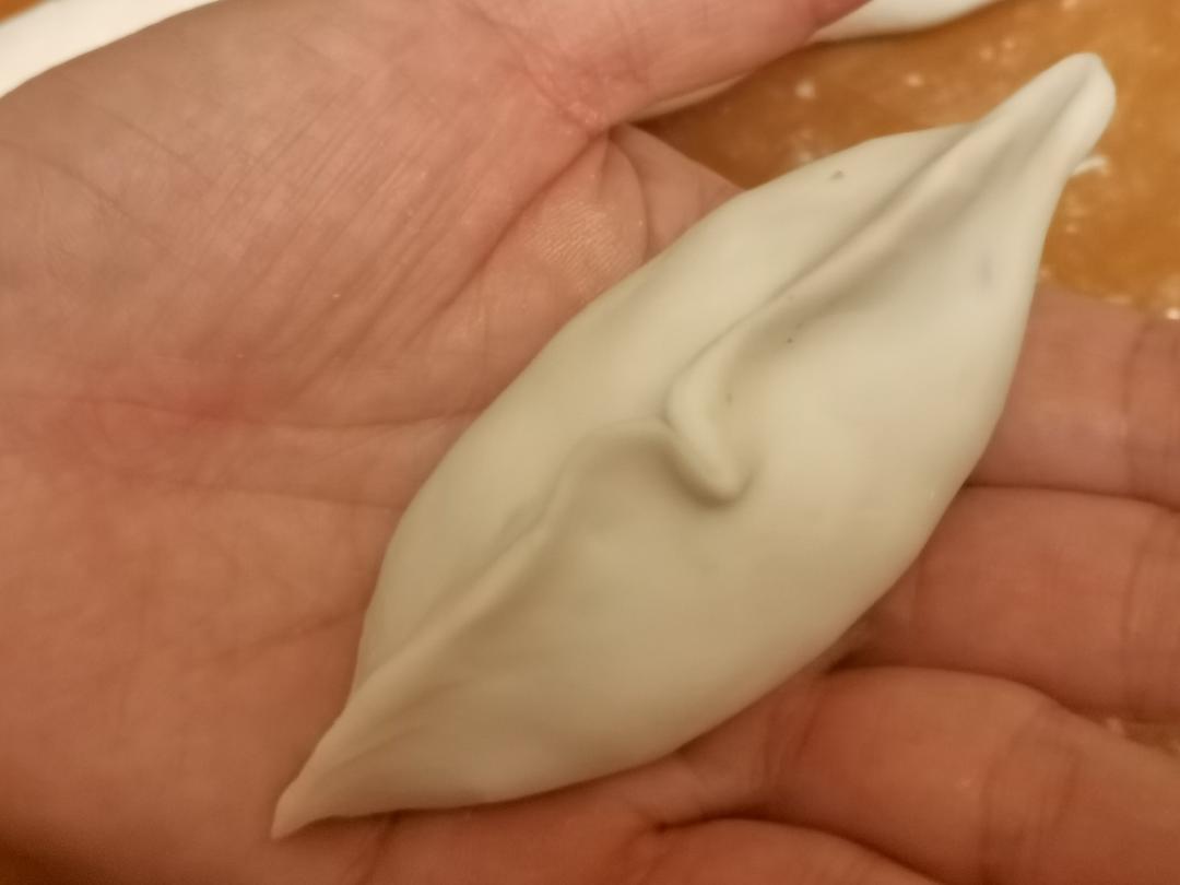 冬节茧